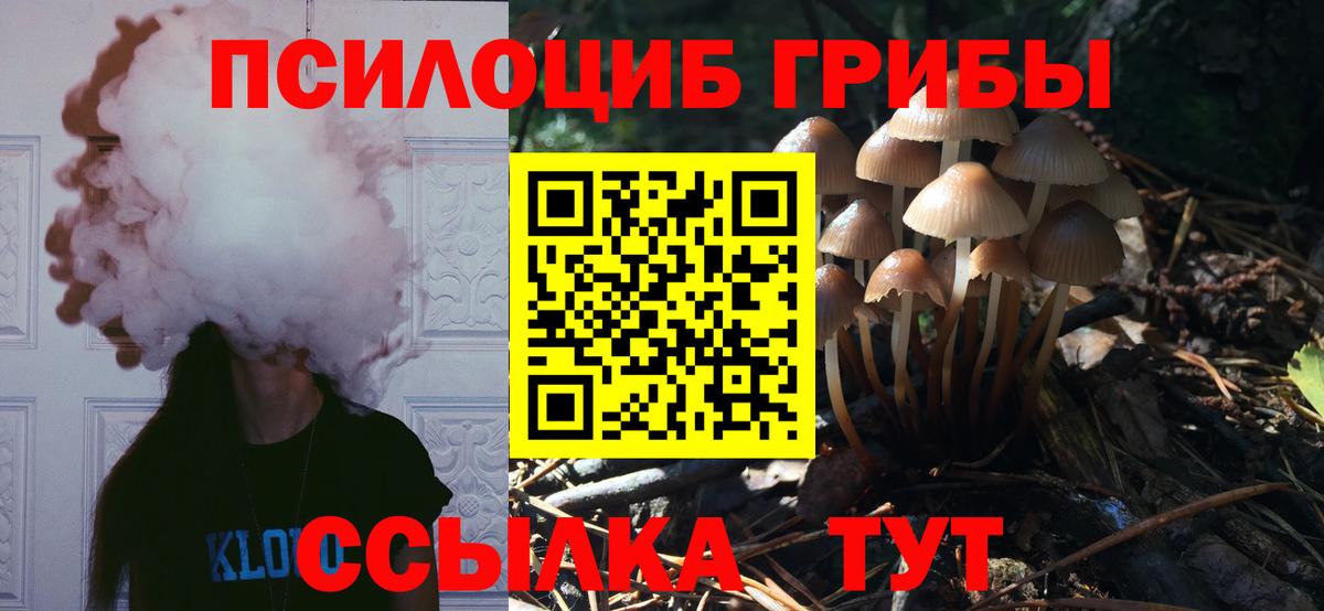 Камень-на-Оби  цена наркотик  Вход с VPN  Галлюциногенные грибы Cubensis 